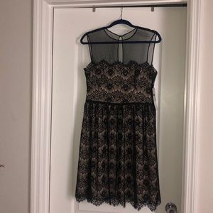 Maggy London floral lace black and beige dress